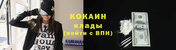 стаф Бронницы