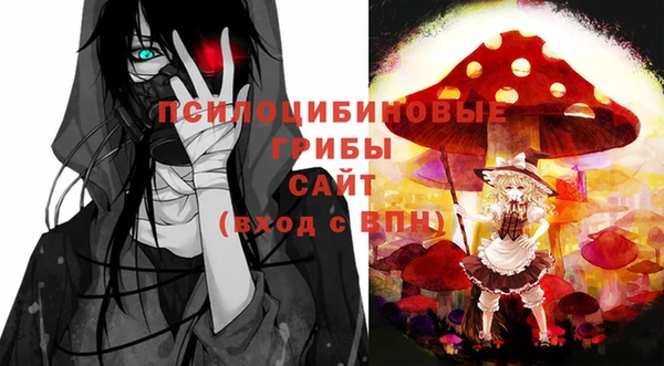 стаф Бронницы