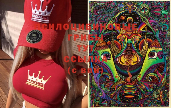 прущая мука Беломорск