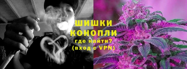 стаф Бронницы